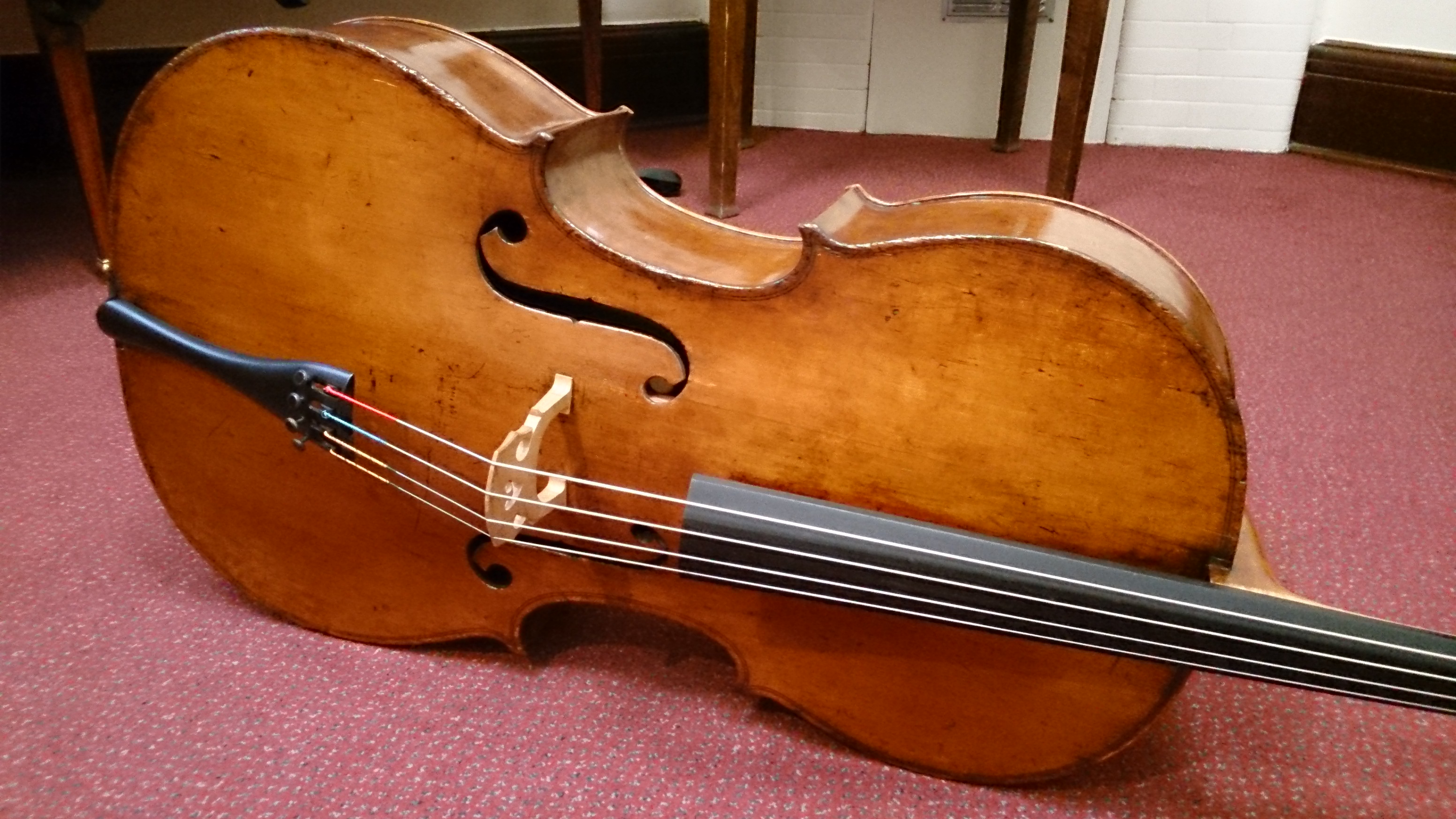 New cello!!! | BIANCA RIESNER